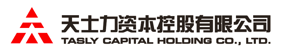 WM视讯资本控股有限公司